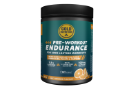 GoldNutrition Pre-Workout Endurance - Orange - 300g